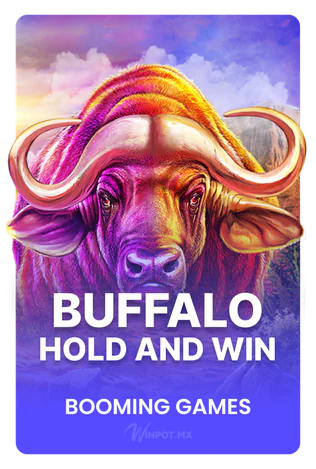 Buffalo Hold and Win