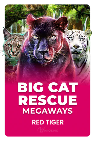 Big Cat Rescue Megaways